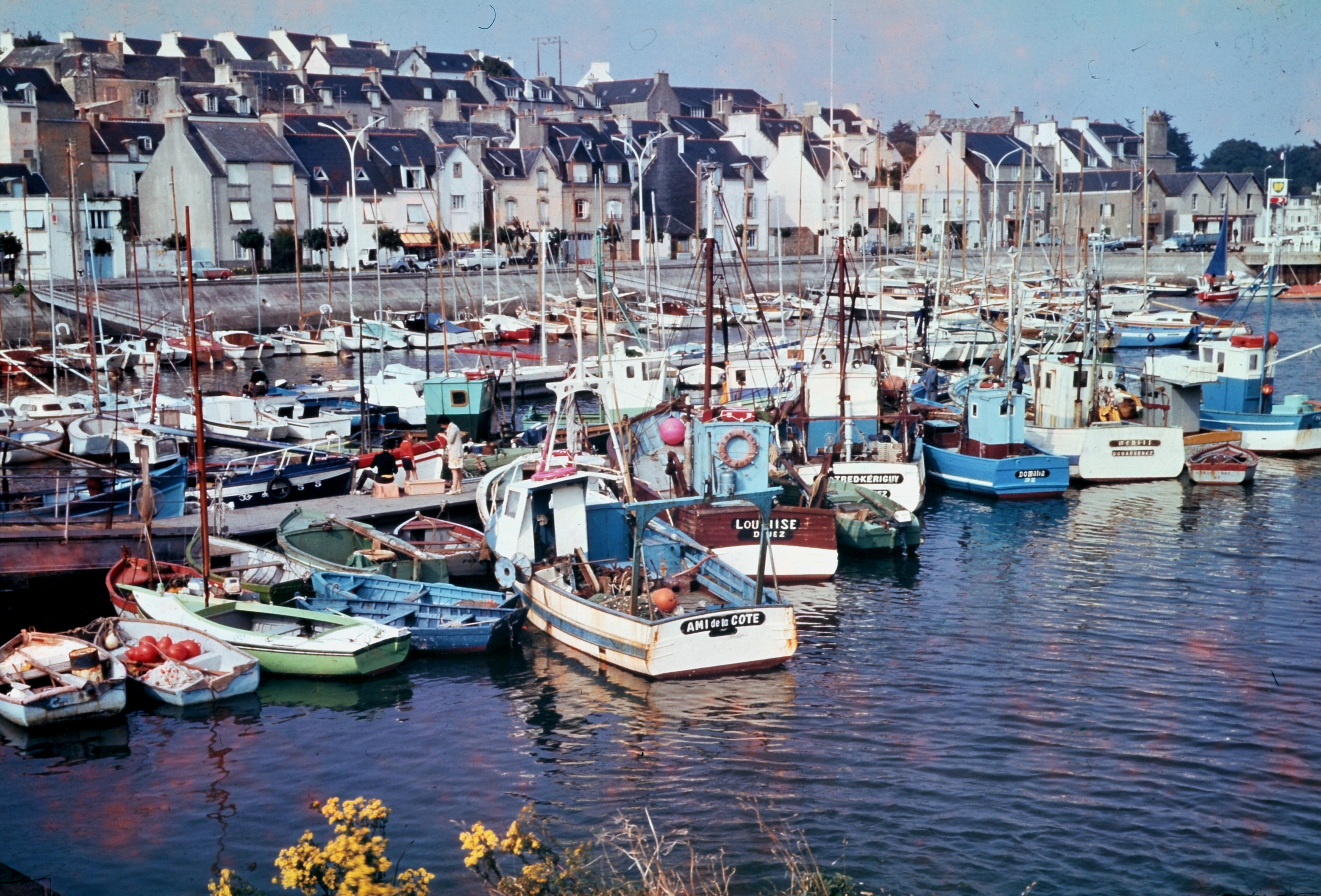 Source : Archives Départementales du Finistère - Fonds Caoudal - Photographies des éditions YCA - Le "Domalia" est le 4ème bateau à partir de la droite, coque bleue, liseré blanc