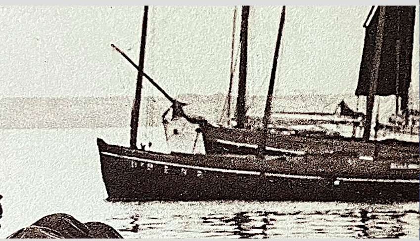 DZ2757 Belle Brise. Collection José Le Mao
