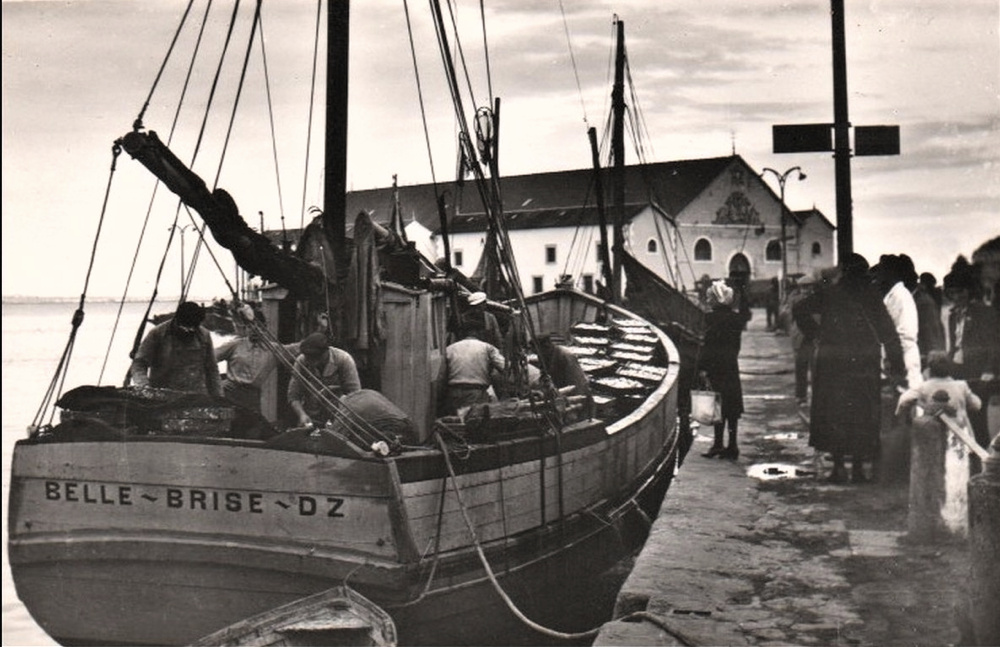 Source : Collection personnelle de Jean-Michel Péault.Belle Brise dans le port du Croisic.