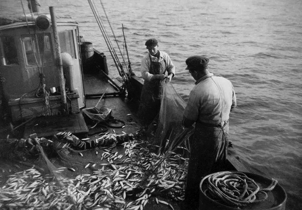 Source : Collection personnelle de Jacqueline Vigouroux.Pêche de la sardine au filet droit.