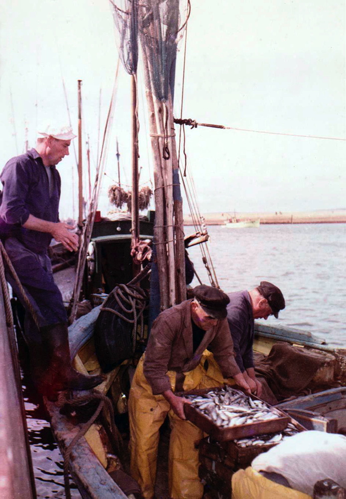 Source : Collection personnelle de Jacqueline Vigouroux.Eté 1960 : débarquement des sardines au grand port. Debout à gauche sur la lisse de bastingage,Pendu, Kervarec à droite et, au milieu, Eugène Vigouroux, le patron.