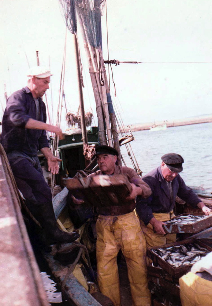 Source : Collection personnelle de Jacqueline Vigouroux.Eté 1960 : débarquement des sardines au grand port. Debout à gauche sur la lisse de bastingage,Pendu, Kervarec à droite et, au milieu, Eugène Vigouroux, le patron.