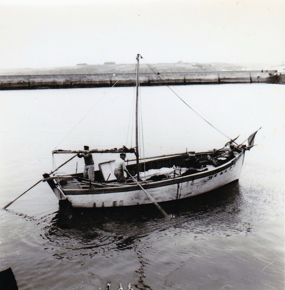Source : Photo Jacques Nouy, collection Jacques Nouy.En action de pêche aux sprats, dans le port de Douarnenez