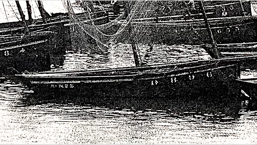 DZ896 Sainte Hélène (détail). Collection José Le Mao