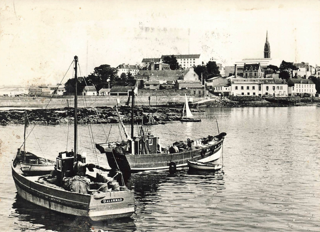 DZ3339 Dalch Mad II. Collection José Le Mao